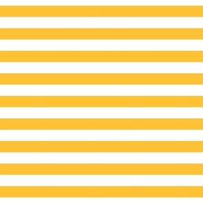 golden yellow stripes 1"