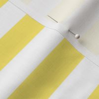 lemon yellow stripes 1"