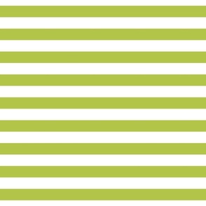 lime green stripes 1"