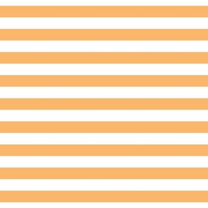 mango orange stripes 1"