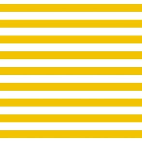 mustard yellow stripes 1"