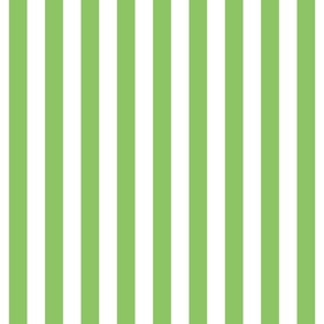 apple green vertical stripes 1"