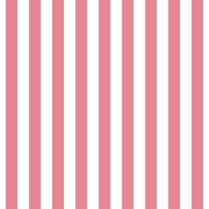 berry cream vertical stripes 1"