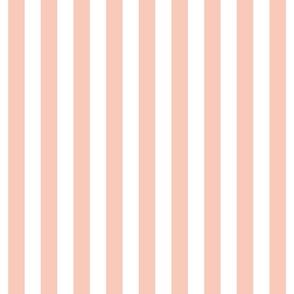 blush vertical stripes 1"