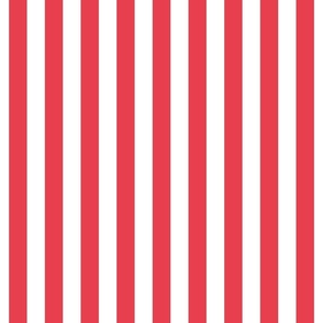 bold coral vertical stripes 1"