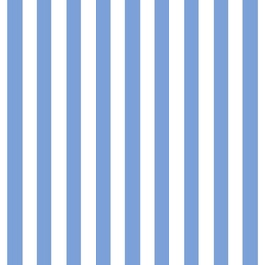 cornflower blue vertical stripes 1"