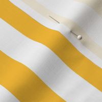 golden yellow vertical stripes 1"