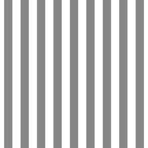 granite grey vertical stripes 1"