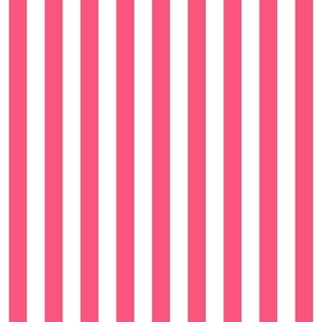 hot pink vertical stripes 1"