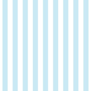 ice blue vertical stripes 1"