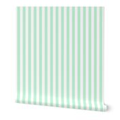 ice mint green vertical stripes 1"