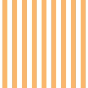 mango orange vertical stripes 1"