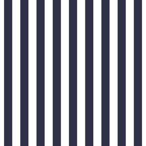 midnight blue vertical stripes 1"