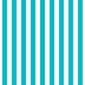 surfer blue vertical stripes 1"