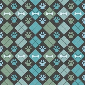 Teal Paw and Bone Argyle