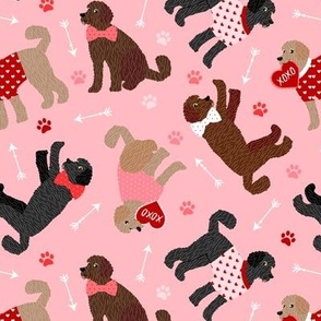 Doodle Valentine Labradoodle / Goldendoodle Dog Pink