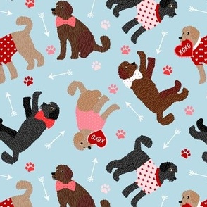 Doodle Valentine Labradoodle / Goldendoodle Dog Blue 