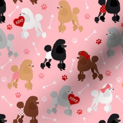 Valentine Poodle Dogs Pink