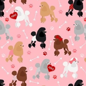 Valentine Poodle Dogs Pink