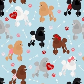 Valentine Poodle Dogs Blue 