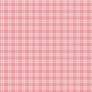 In The Meadow: Pink & White Plaid