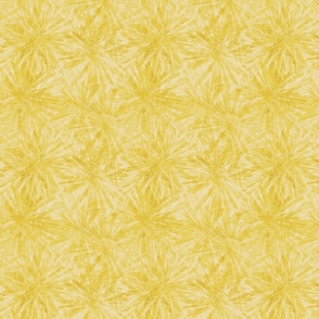 aster_starburst_sunny_yellow
