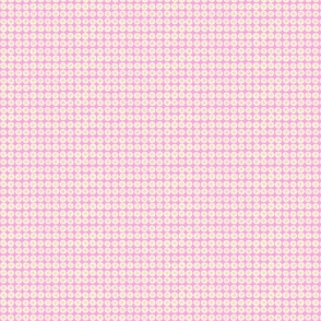 blueberry grid pink_cream 5In