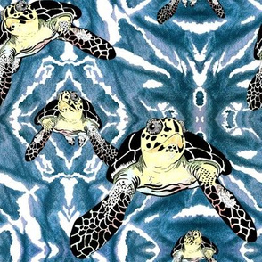 Turtles_in_Teal