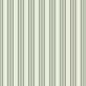 stripe // painted eucalyptus - sage green