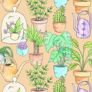 Happy House Plants