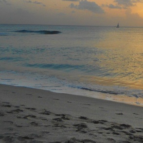 barbados mural