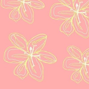 Sunshine Lilies