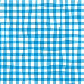 wonky gingham (blue)