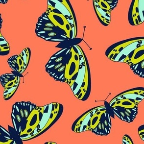 Fluttering Butterflies on Papaya  Orange - lg