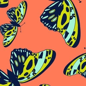 Fluttering Butterflies on Papaya Orange- xl