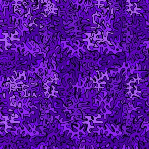 Doubled Purple Squiggles