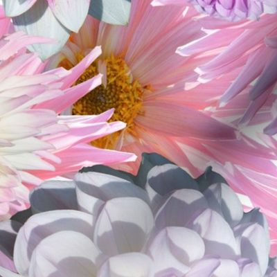 Pink Dahlia pattern