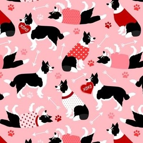 Valentine Border Collie Dogs Pink