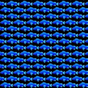 Yelloweye Rockfish inverted blue on black 2p5in