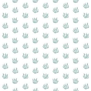 seagrass . teal