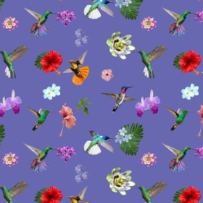 Hummingbird garden - Very peri lilac