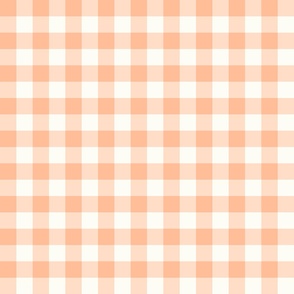Classic Gingham Peach Fuzz Pantone Color of the Year and Natural White