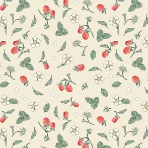 wild strawberries light sketch on beige