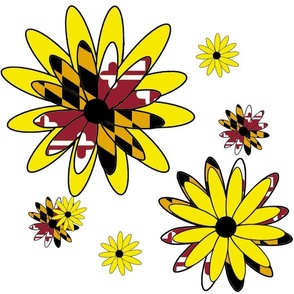 Blacked Eyed Susans with Maryland Flag Yellow Flowers  14" x 14"