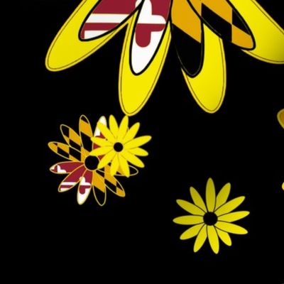 Blacked Eyed Susans with Maryland Flag Yellow Flowers  14" x 14" w black background