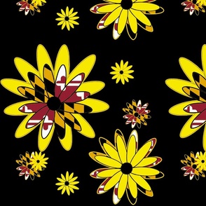 Blacked Eyed Susans with Maryland Flag Yellow Flowers  14" x 14" w black background