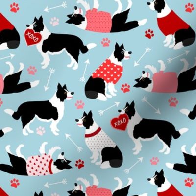 Valentine Border Collie Dogs Blue