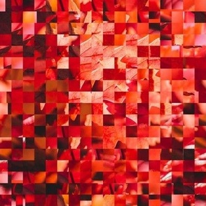 Red Leaves Mosaic