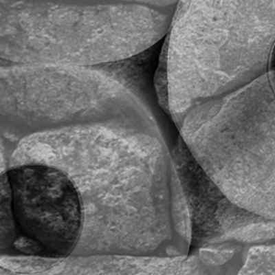 Rock and Roll Gray Scale Toilet Paper Rolls Overlaid with Rocks