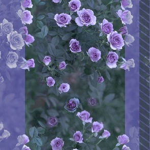 24x18-Inch Repeat of Decorative Stripes of Veranda Roses in Amethyst